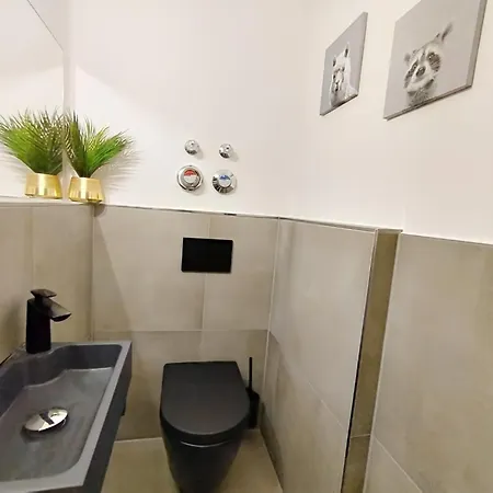 Design-apartmenthaus Fuer Bis Zu 12, Modern, Dachterrasse, Grill, Ruhige Lage, Plus, Wii, Lan Und Wlan Lägenhet Nürnberg