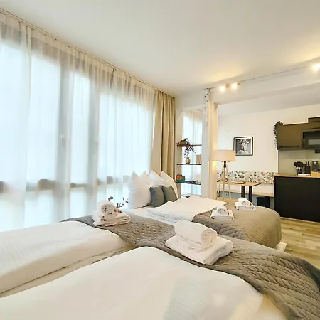 Lägenhet Design-apartmenthaus Fuer Bis Zu 12, Modern, Dachterrasse, Grill, Ruhige Lage, Plus, Wii, Lan Und Wlan *
