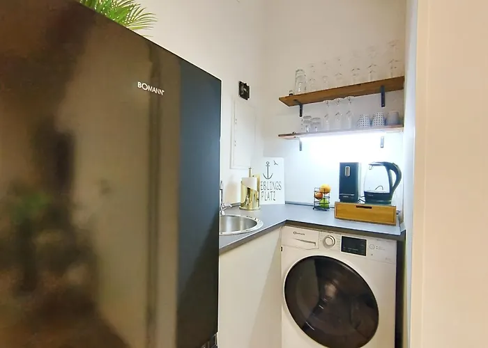 Design-apartmenthaus Fuer Bis Zu 12, Modern, Dachterrasse, Grill, Ruhige Lage, Plus, Wii, Lan Und Wlan Appartement *
