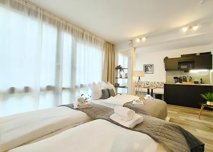 Appartement Design-apartmenthaus Fuer Bis Zu 12, Modern, Dachterrasse, Grill, Ruhige Lage, Plus, Wii, Lan Und Wlan *
