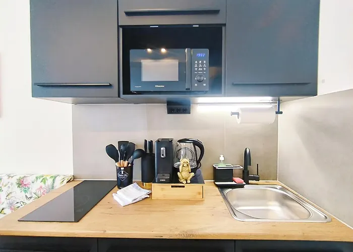 Design-apartmenthaus Fuer Bis Zu 12, Modern, Dachterrasse, Grill, Ruhige Lage, Plus, Wii, Lan Und Wlan Appartement Neurenberg